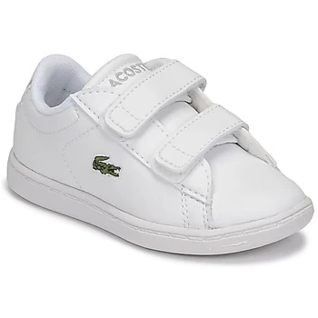 Image of Lacoste CARNABY EVO BL 21 1 SUI boys's Childrens Shoes Trainers in White - Sizes 5 toddler,5.5 toddler,6 toddler,7 toddler,8.5 toddler,9.5 toddler