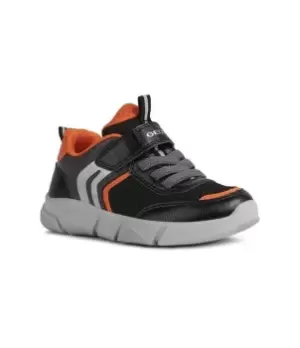 Image of 'Aril' Trainers