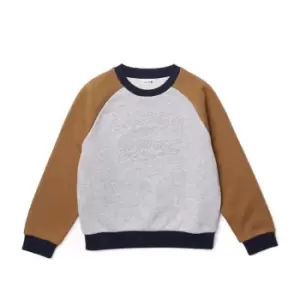 Image of Boys' Lacoste Branded Colour-Block Sweatshirt Size 8 yrs Grey Chine / Brown / Navy Blue