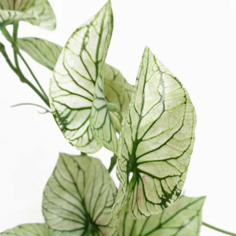 Image of Artificial Trailing Plant Variegated Potted Alocasia Botanik, Green BK-40293