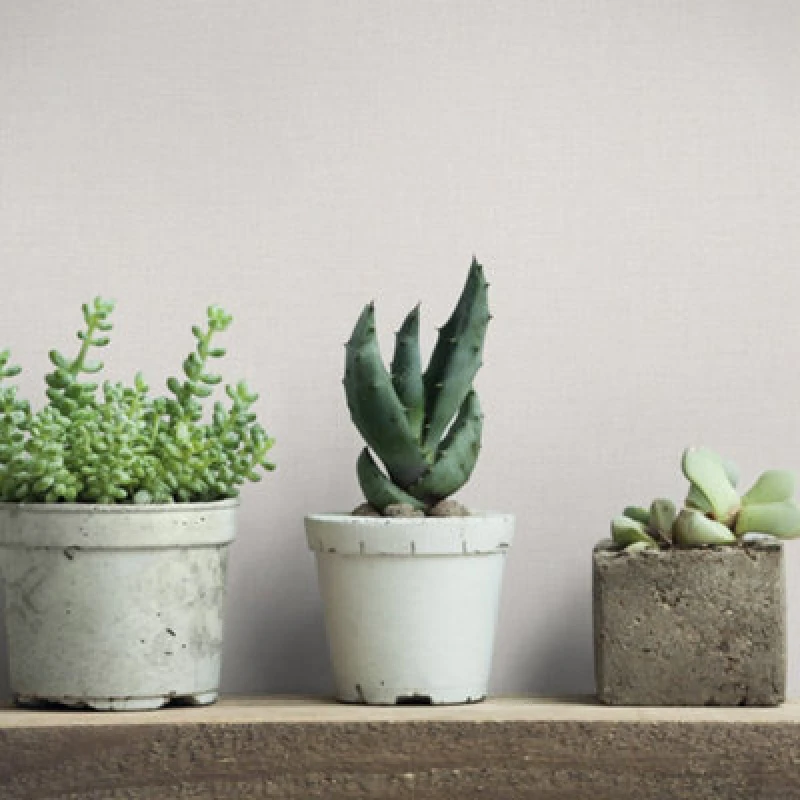 Image of Galerie Industrial Effects Cream Matte Plain Texture Wallpaper Roll