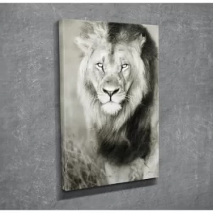 Image of DC051 Multicolor Decorative Canvas Painting