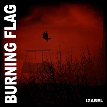 Image of Burning Flag - Izabel Vinyl