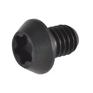 Image of Trend RT/3.5 TORX Replacement Screws