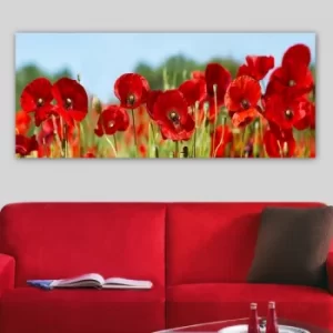 Image of YTY1006066429_50120 Multicolor Decorative Canvas Painting