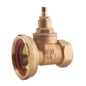 Image of Compression Pump Valve Dia22mm