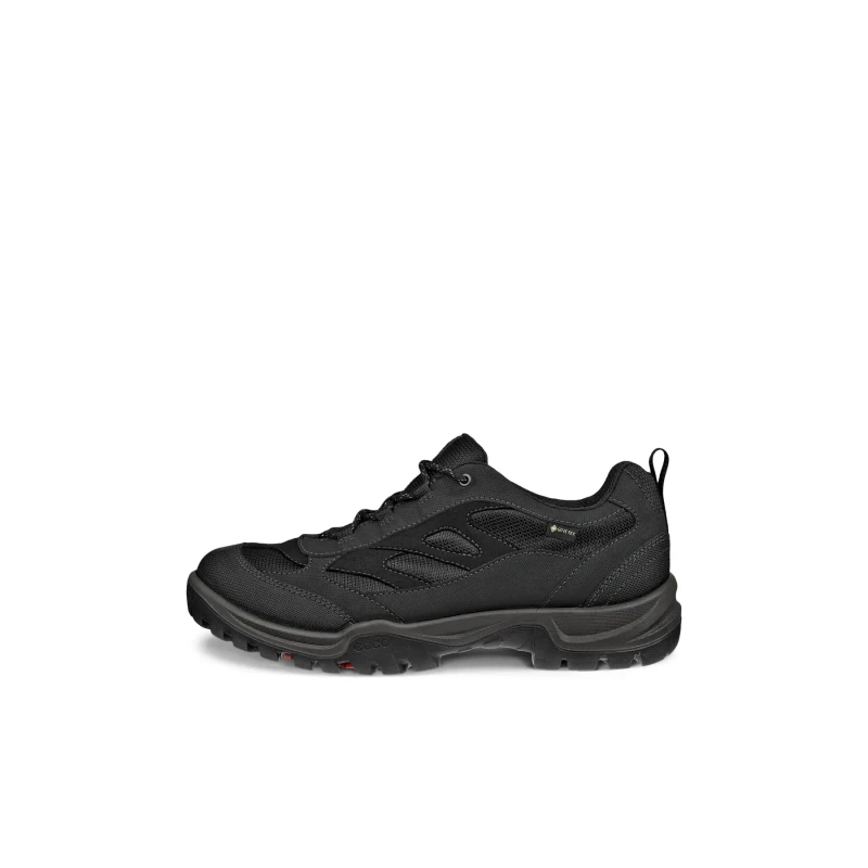 Image of Hiking shoes Ecco Xpedition III Noir Male 40
