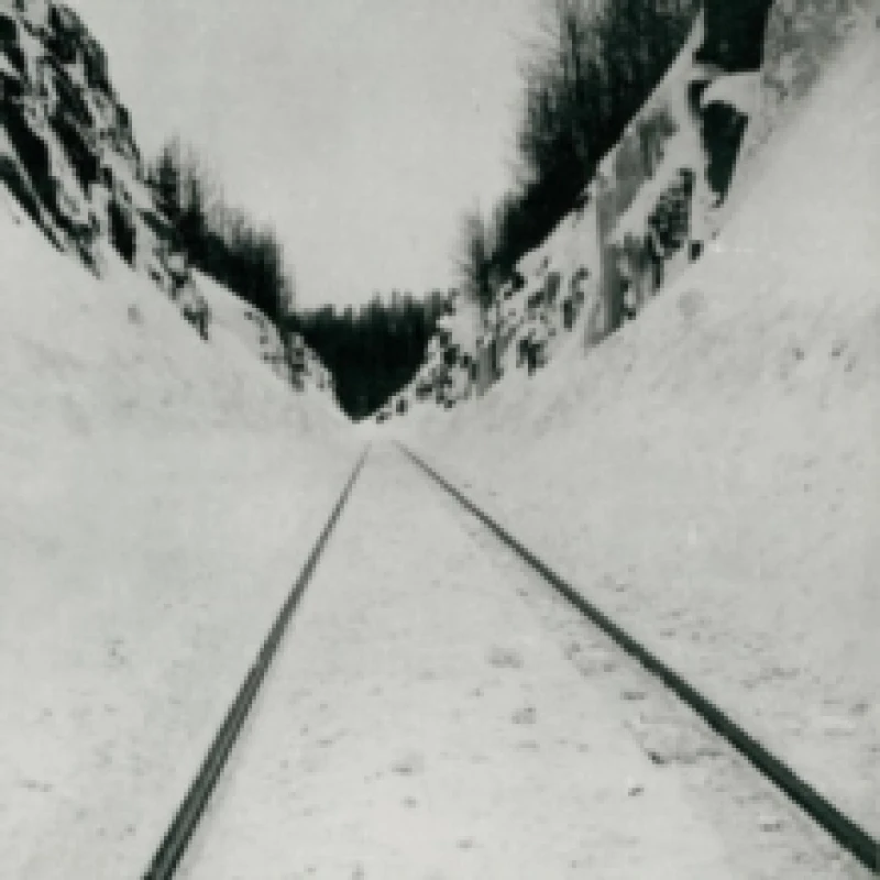 Image of Thin Peaks CD / Album