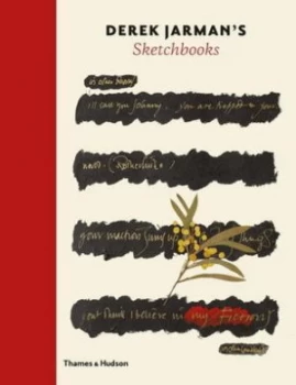 Image of Derek Jarmans Sketchbooks by Stephen Farthing Hardback