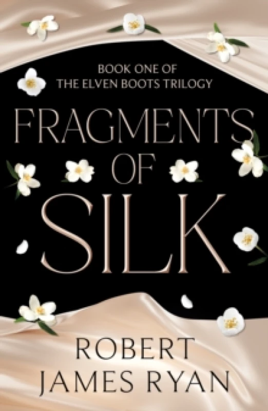 Image of Fragments of Silk Paperback / softback