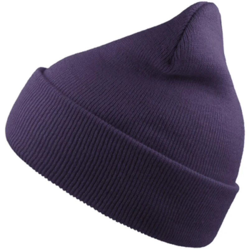 Image of Atlantis Atlantis Men Wind Cuffed Beanie in Purple Purple One Size Male 5063703635455
