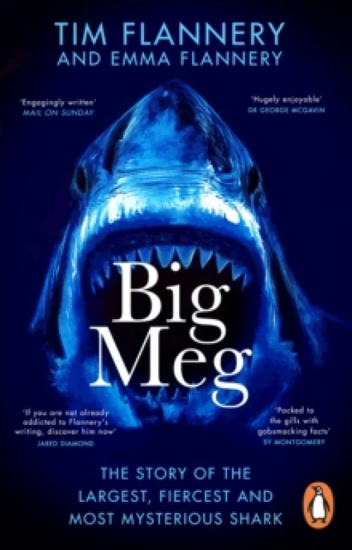 Image of Big Meg : The Story of the Largest, Fiercest and Most Mysterious Shark Paperback / softback