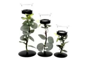 Image of Three Eucalyptus Dressed Tealight Holders