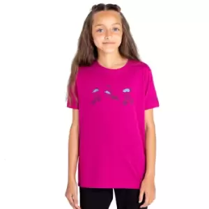 Image of Dare 2b Boys Go Beyond Cotton Casual Graphic T Shirt 7-8 Years - Chest 63-67cm (Height 122-128cm)