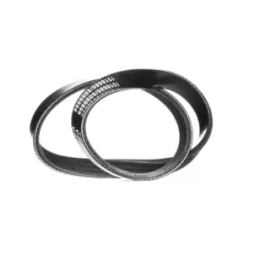Image of RIDEX V-ribbed belt HYUNDAI 305P0168 5723122000,5723129050 Serpentine belt,Auxiliary belt,Poly V-belt,Ribbed belt,Multi V-belt,Poly belt