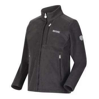 Image of Regatta Marlin VII Full Zip Fleece Jacket - Ash