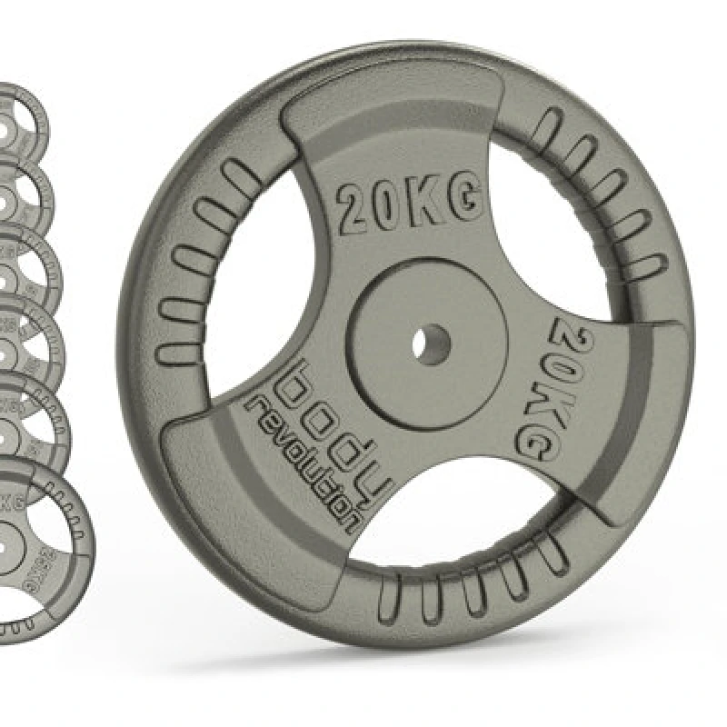 Image of Body Revolution Cast Iron Weight Plates - 2 X 2.5 Kg
