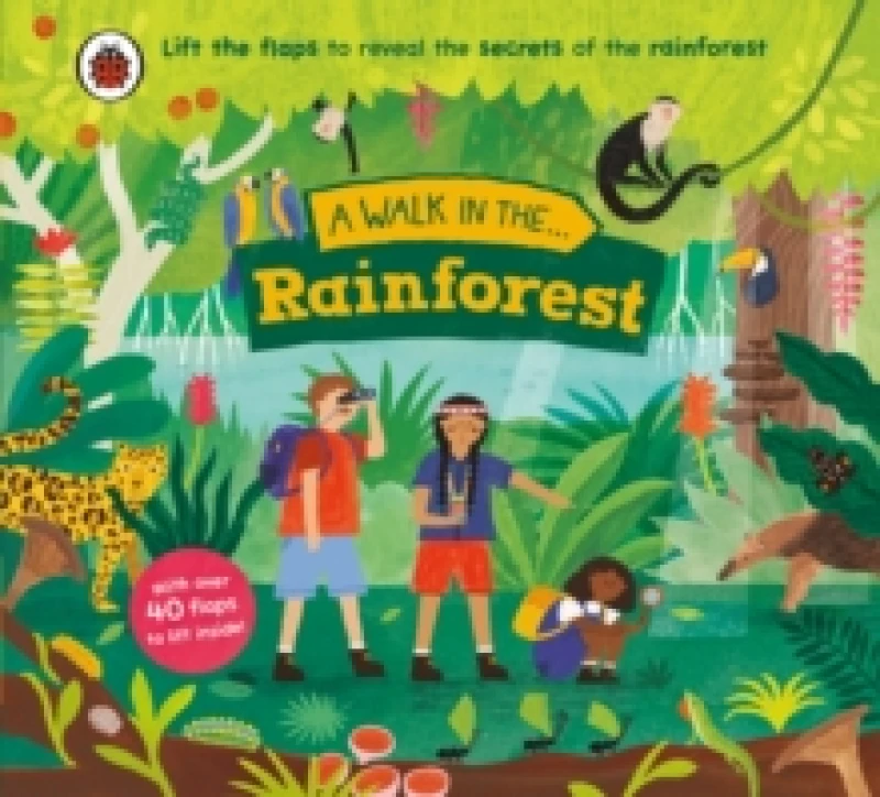Image of A Walk in the Rainforest Board book