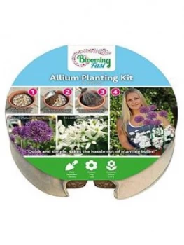 Image of Plant O Mat Tray #7 Allium Mix 19 Bulbs