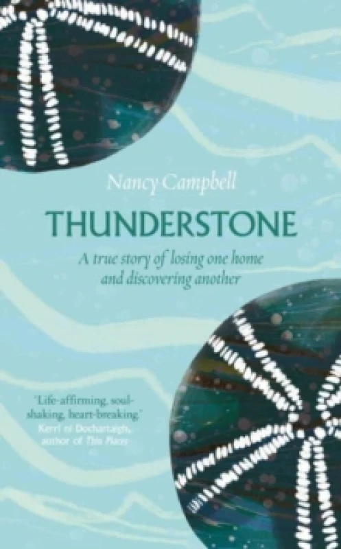 Image of Thunderstone : Finding Shelter from the Storm Paperback / softback