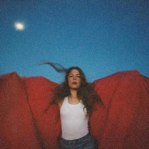 Image of Maggie Rogers - Heard It In A Past Vinyl