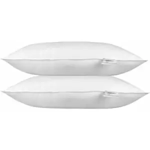 Image of Microfibre Euro Continental Pillow Pair - 40cm x 80cm (16'x32') - White - Homescapes