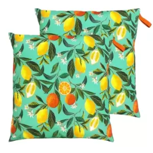 Image of Orange Blossom Large 70cm Outdoor Floor Twin Pack Cushion Multi