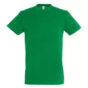 Image of SOLS Mens Regent Short Sleeve T-Shirt (L) (Kelly Green)