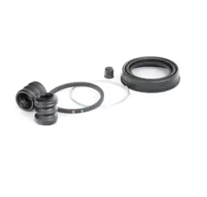 Image of AUTOFREN SEINSA Brake Caliper Repair Kit RENAULT,PEUGEOT,CITROEN D4042 95658559,6001547617,442756 7701201806