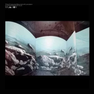 Image of Environment 65 by The Future Sound of London Vinyl Album