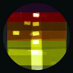 Image of A New Line (Related) - Our Lady Of Perpetual Fucking Succour Vinyl