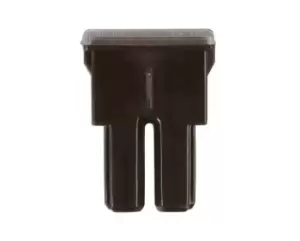 Image of Female PAL Fuse 70-amp Pk 10 Connect 30480