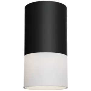 Image of Netlighting Pauline Surface Mounted Ceiling Downlight Black, 1 Light, GU10