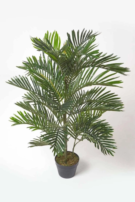 Image of Homescapes Multi Stem Green Palm Tree in Pot, 120cm Green