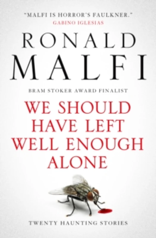 Image of We Should Have Left Well Enough Alone Paperback / softback