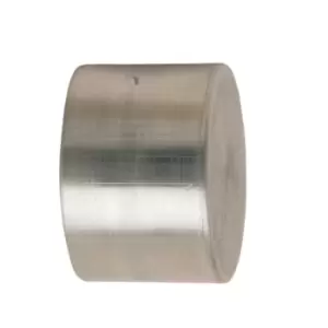 Image of 32mm Diameter Hard Silver Spare Face