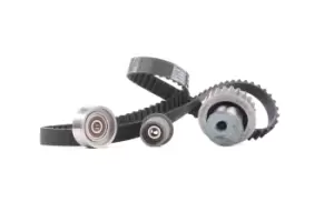 Image of INA Timing belt kit BMW 530 0007 10 11121721659,11311706956,11311708806 11311709646,11311721245,11311721263,11311721264,11311721699,11311727141