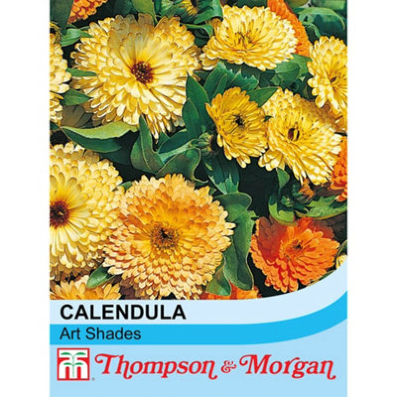 Image of Thompson & Morgan Calendula Art Shades Mixed 1 Seed Packet (100 Seeds)