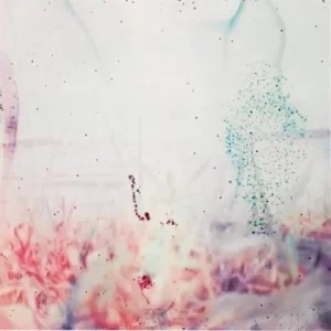 Image of Pluralone &lrm;- To Be One With You Vinyl