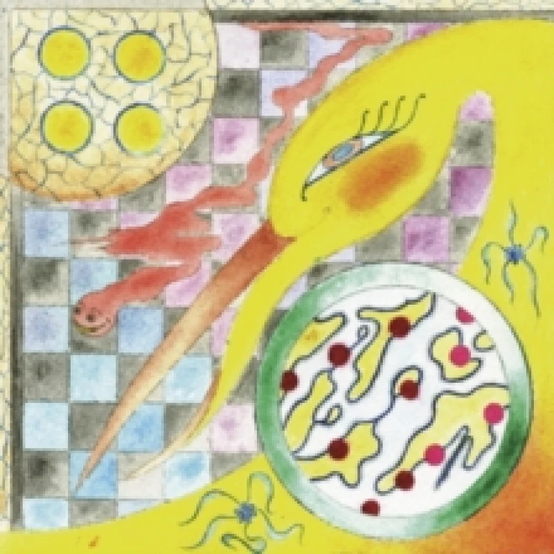 Image of Perfume CD / EP