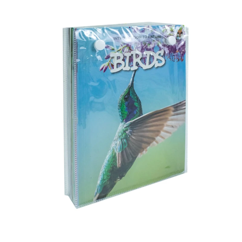 Image of Children Introduction to Nature for Beginners 10 Book Set Katherine Eason Books