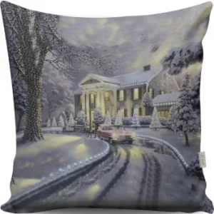 Image of A13008 Multicolor Cushion