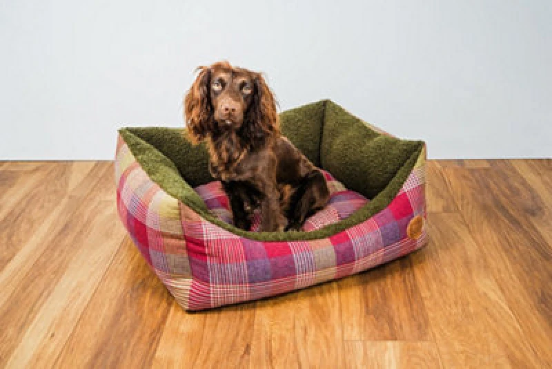 Image of Snug & Cosy Pets Snug And Cosy Pets Highland Mulberry Rectangle Pet Bed Bedding Medium Tartan Cushioned Sides And Non Slip Base