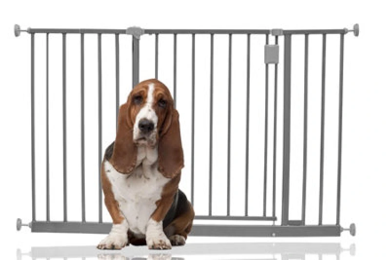 Image of Bettacare Extra Wide Hallway Dog Gate, 116Cm - 121Cm, Grey, Pressure Fit Pet Gate, Puppy Safety Barrier