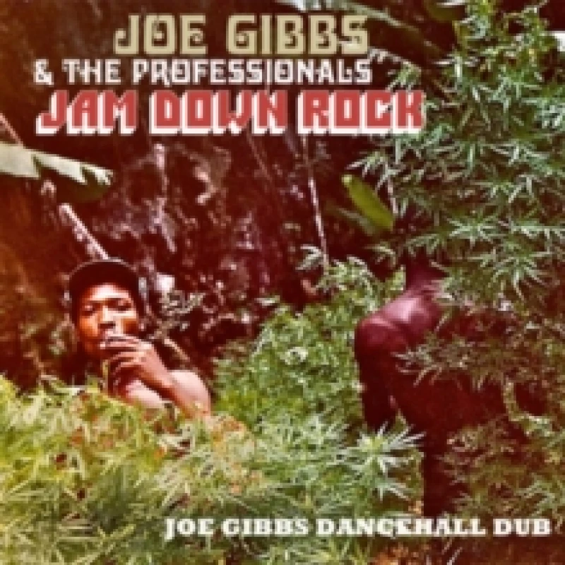 Image of Jam Down Rock: Joe Gibbs Dancehall Dub CD / Album