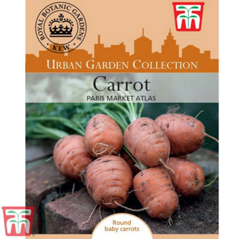 Image of Thompson & Morgan Carrot Paris Market Atlas 25 Percent 1 Seed Packet (500 Seeds)