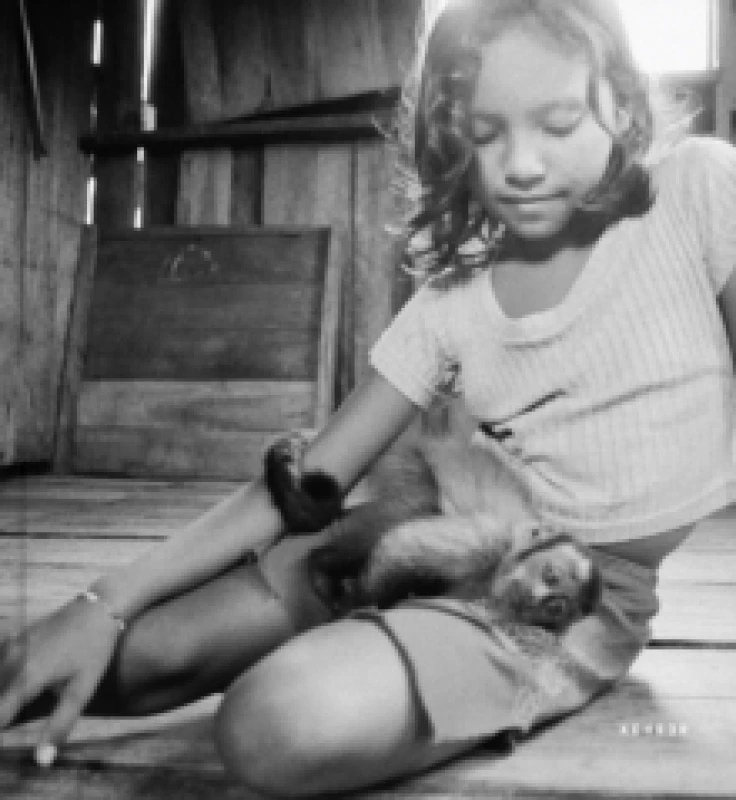 Image of The Enchanted Ones Hardback