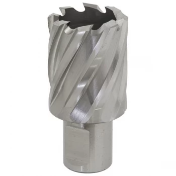 Image of Worksafe RBHSS30S Rotabor Cutter HSS Ø30mm - Cut Depth 25mm