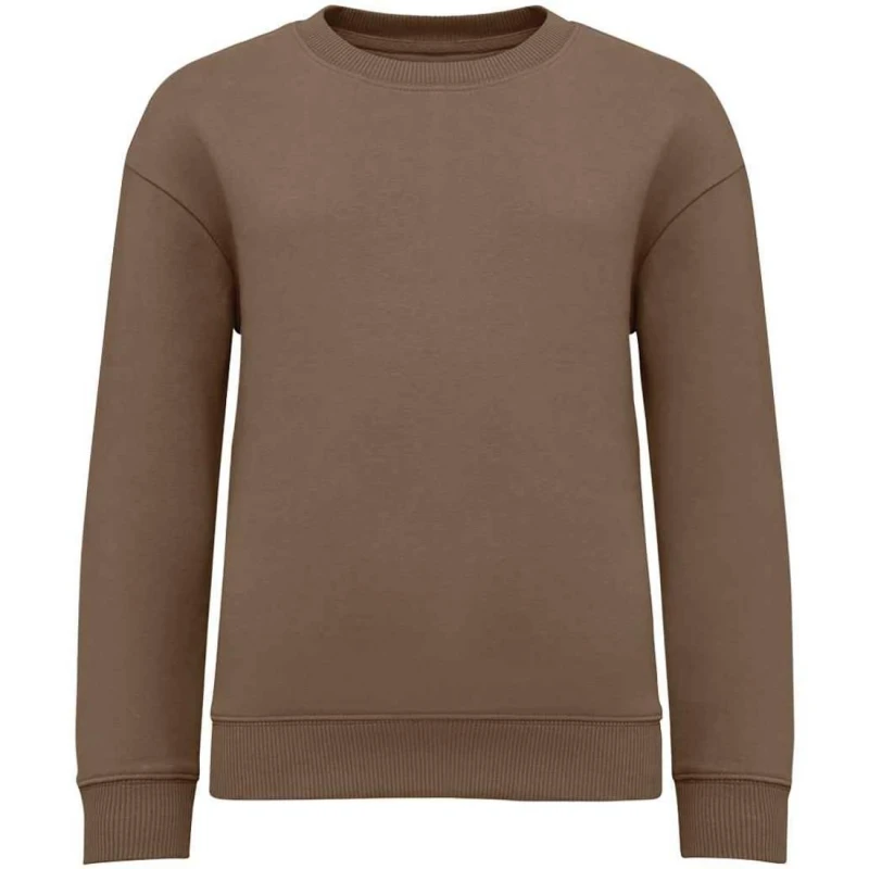 Image of Native Spirit PC7758 boys's Children's sweatshirt in Multicolour