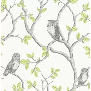 Image of Woodland Trees Wallpaper Birds Owls Forest Green / Silver - FD40637 - Fine Decor